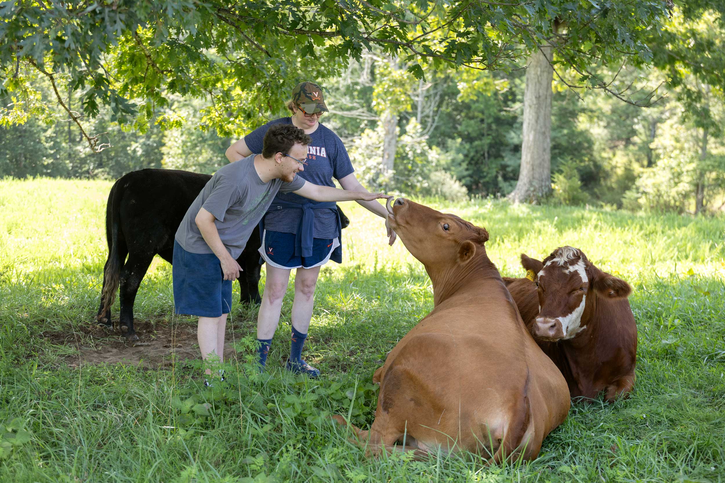 Ty Hopkins and Megan McGrath petting a cow at Autism Sanctuary